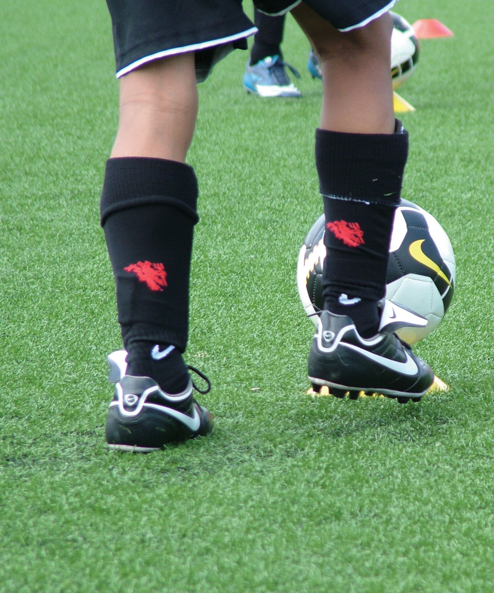 Something to Chew On